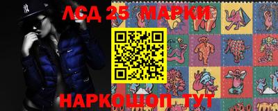 гидропоника Донской