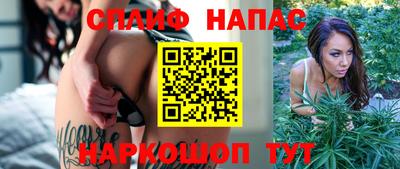 гидропоника Донской
