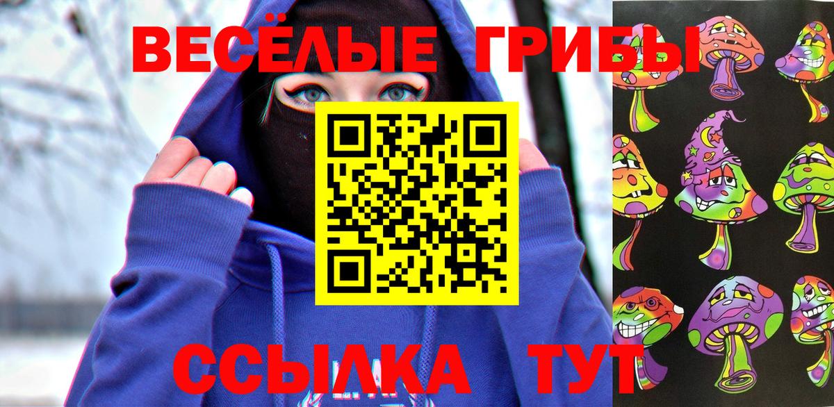 Псилоцибиновые грибы прущие грибы  Вход с VPN  Майкоп 