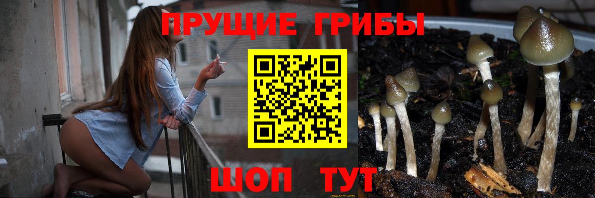 Галлюциногенные грибы Cubensis Майкоп